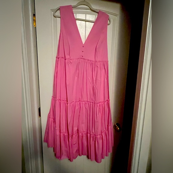 New York & Company Dresses Nwt New York And Co Pink Ruffled Mid